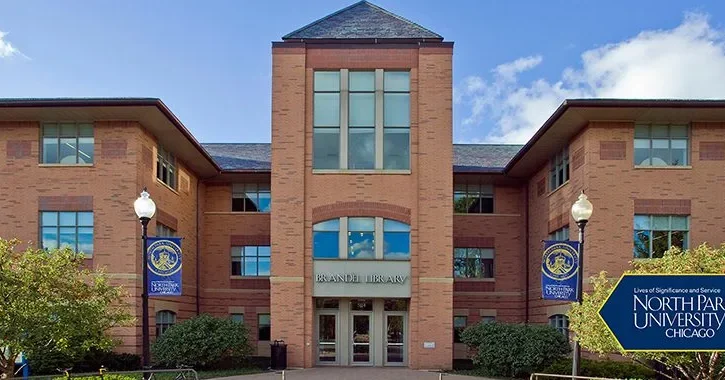 Electrical Services in North Park Chicago: Trust STS Electric for Reliable Solutions 1 Expert Electrician in North Park, Chicago