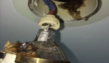 LED Lighting Solutions for Energy Savings