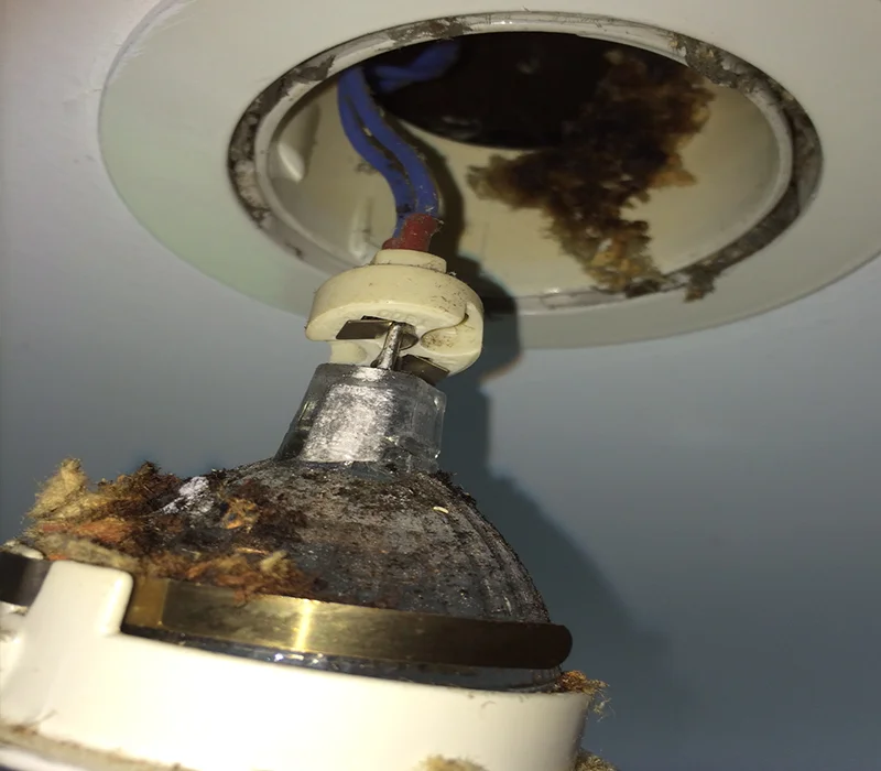 Why Choose LED Lighting for Your Home